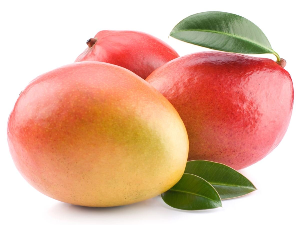 Манго (фрукт). Манго Альфонсо. Плод манго. Манго костянка.
