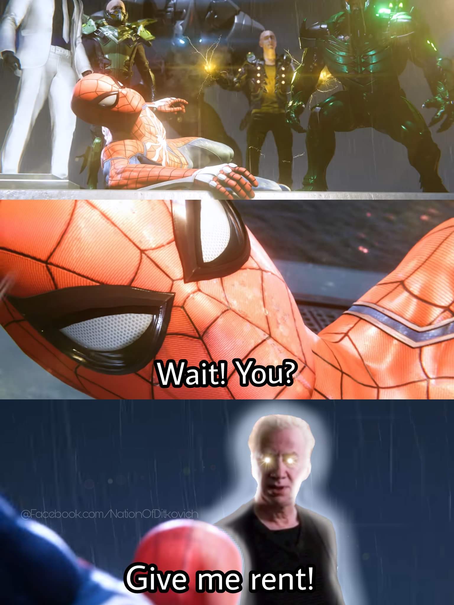Spider memes