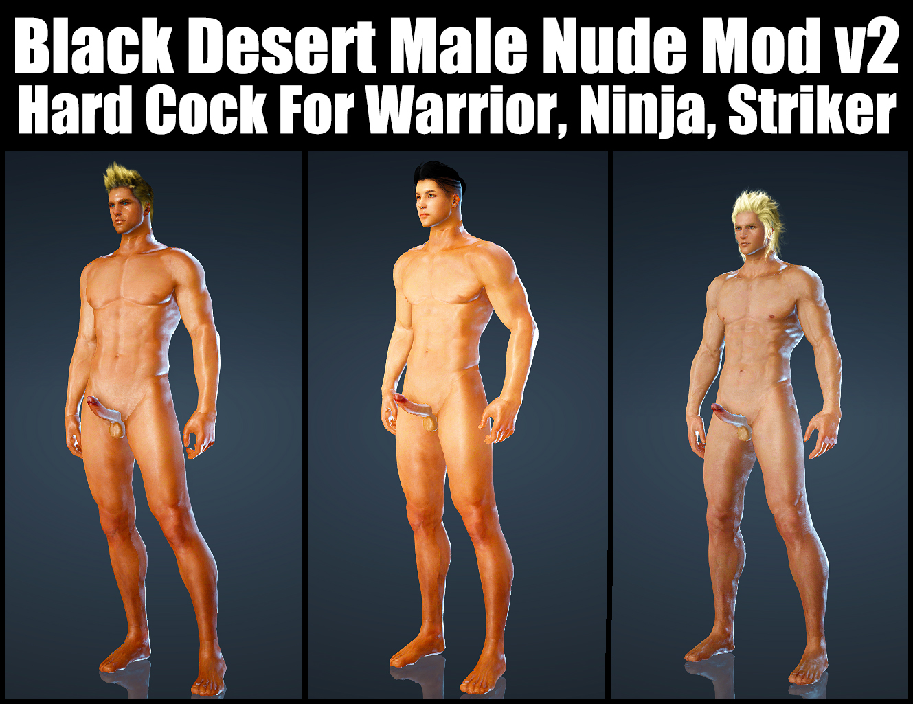 Black Desert Male Nude Mod V2 Hard Cock For Warrior, Ninja, Striker.jpg.